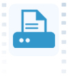 Emissão e entrega do documento